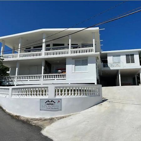 Los Roires Beach Apartments Фахардо Екстериор снимка